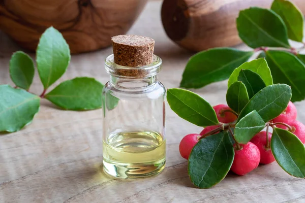 Una Botella Aceite Esencial Con Hojas Verdor Bayas Sobre Una —  Fotos de Stock