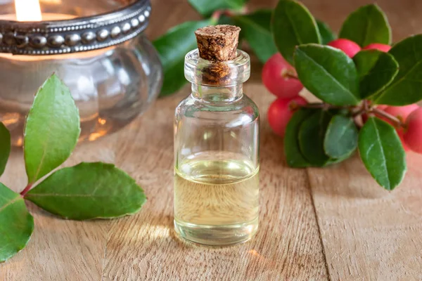 Пляшка Ефірної Олії Свіжою Зимово Зеленою Рослиною — стокове фото
