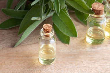 Taze adaçayı dallarıyla birlikte bir şişe gerekli yağ.