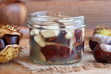 Taze at kestanesi ve ev yapımı tentür hazırlamak için alkol dolu bir kavanoz