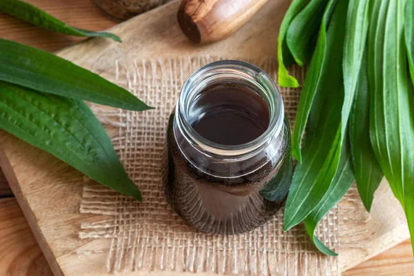 Een Pot Van Zelfgemaakte Smalle Weegbree Siroop Tegen Hoest Met — Stockfoto