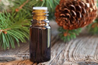 Uçucu yağı çam dalları ve koniler ile bir şişe