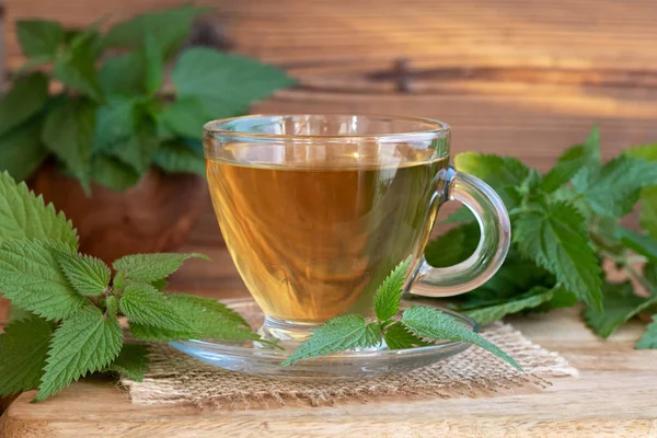 Bir Fincan Taze Isırgan Otlu Bitki Çayı — Stok fotoğraf