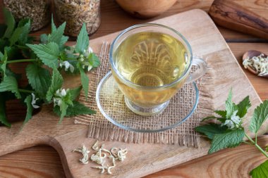 Beyaz Ölüm-ısırgan çay taze ve kurutulmuş bitki ile