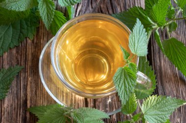 Bir fincan taze ısırgan otlu bitki çayı.