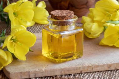 Evening primrose yağı ve taze çiçek açan bitki 