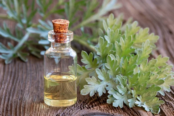 Una Botella Aceite Esencial Ajenjo Con Artemisia Fresca Ramitas Absenta — Foto de Stock