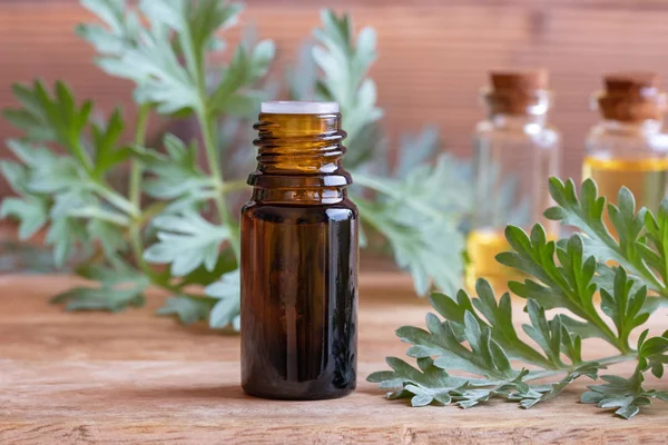 Una Botella Aceite Esencial Ajenjo Con Artemisia Planta Absenta Fresca — Foto de Stock