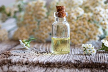 Esans taze çiçek açan civanperçemi dal içinde belgili tanımlık geçmiş ile bir şişe