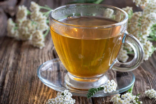 一杯草药茶 新鲜西洋蓍草花 — 图库照片