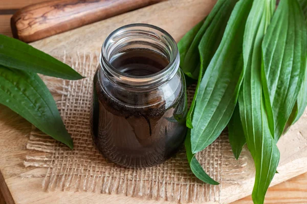 Homemade ribwort plantain syrup against cough with fresh plant