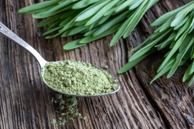 Toz ve taze genç arpa çimen