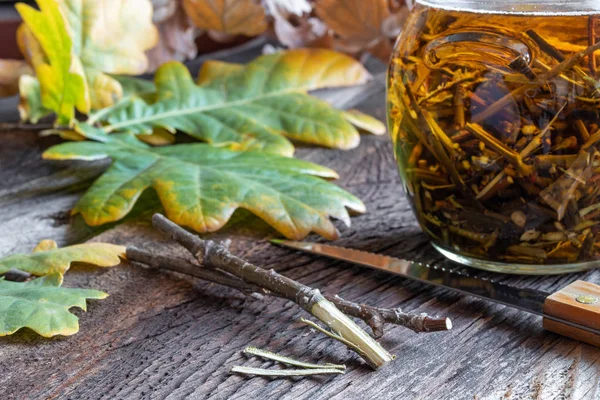 Preparing Homemade Tincture Oak Bark — Stock Photo, Image