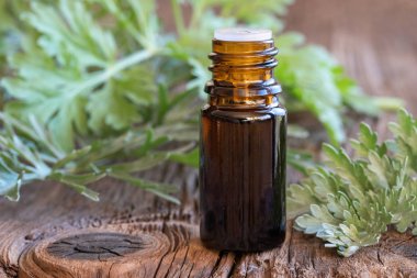 Bir şişe pelin esans ve taze yaprakları