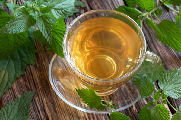 Una Taza Ortiga Con Planta Fresca Sobre Fondo Rústico —  Fotos de Stock