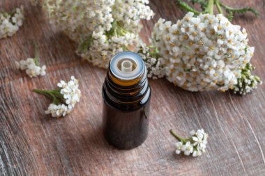 Taze yarık dallarıyla birlikte bir şişe gerekli yağ.