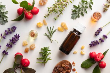 Esans buhur, Pelin, wintergreen ve diğer otlar üzerinde beyaz bir arka plan ile şişe