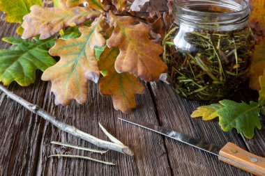 Ev yapımı alkol tentür taze meşe Barka üzerinden hazırlanması