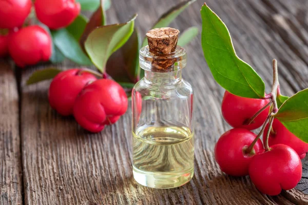 Una Botella Aceite Esencial Con Hojas Bayas — Foto de Stock