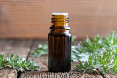 Pelin esans taze pelin otu ile bir şişe yaprakları