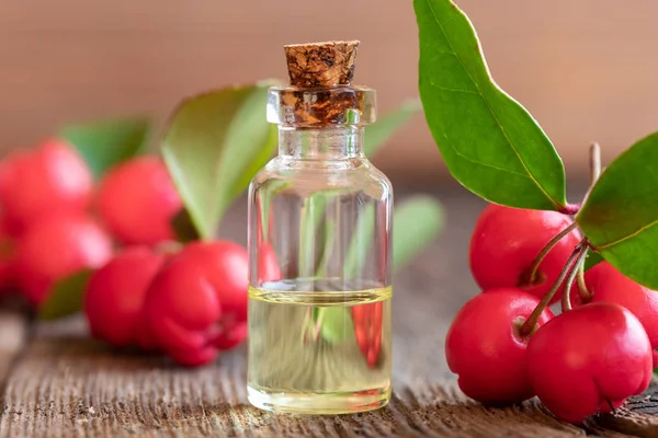 Una Botella Aceite Esencial Con Ramitas Frescas Verdor Invernal — Foto de Stock