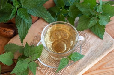 Bir tabloda taze ısırgan nettles ile bitkisel çay