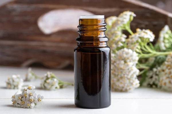 Bottle Essential Oil Fresh Blooming Yarrow Twigs — Stock Photo, Image