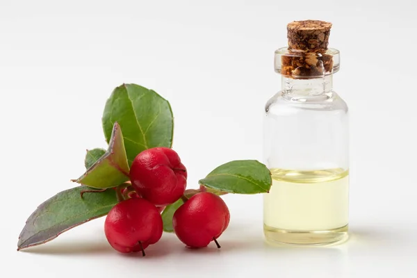 Una Botella Aceite Esencial Con Hojas Verdor Invernal Bayas Sobre —  Fotos de Stock