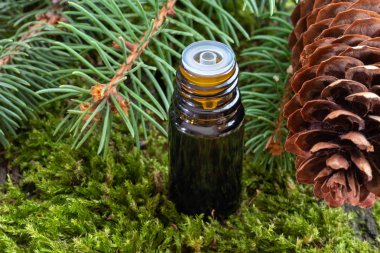 Esans taze çam dalları ve koniler yosun üzerinde bir şişe