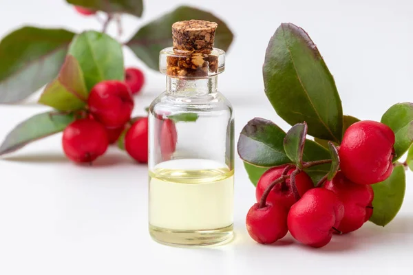 Eine Transparente Flasche Ätherisches Mit Wintergrünen Zweigen Auf Weißem Hintergrund — Stockfoto