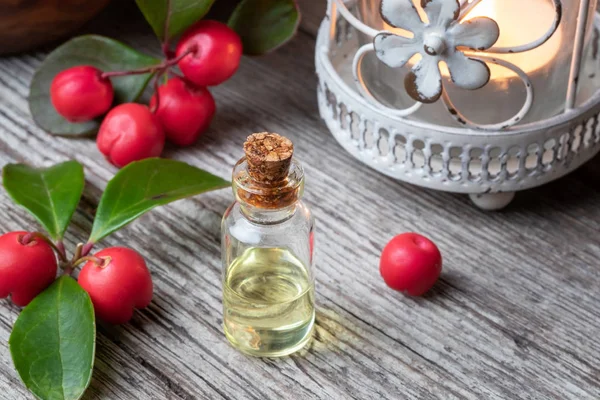 Una botella de aceite esencial de verdor invernal con ramitas de verdor invernal —  Fotos de Stock