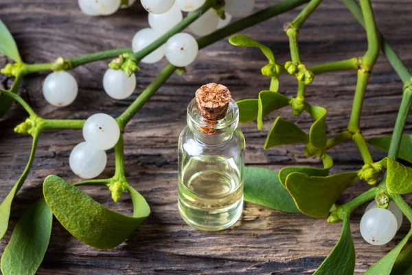 Bottle Essential Oil Fresh Mistletoe Twigs — Stock Photo, Image