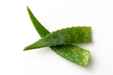 Beyaz bir arka plan iki bütün aloe vera yaprak