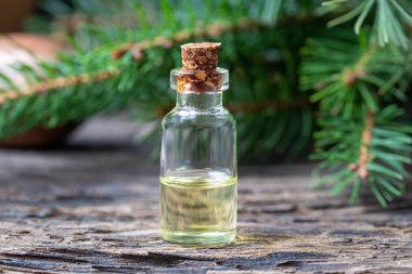 Bir şişe içinde belgili tanımlık geçmiş taze çam dalları ile uçucu yağ