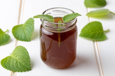 Taze Plectranthus argentatus yapraklı soğuk algınlığına karşı bir kavanoz gümüş serpinti şurubu.