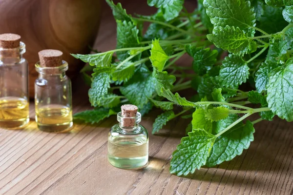 Una Botella Aceite Esencial Con Melisa Fresca — Foto de Stock