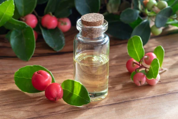 Una Botella Aceite Esencial Con Hojas Bayas — Foto de Stock