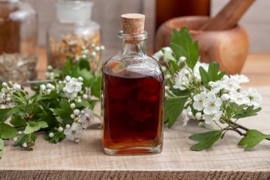 Bir şişe taze alıç çiçekli ev yapımı tentür