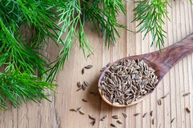 Bir kaşıkta döllenmiş tohumlar, arka planda taze yapraklar.