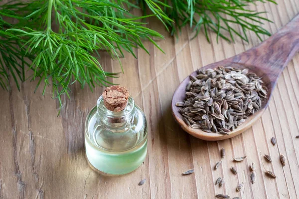 Een Fles Dille Zaad Olie Met Anethum Graveolens Zaden Bladeren — Stockfoto