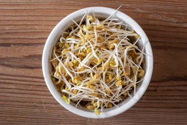 Kavanozda çimen tohumu tohumu, üst manzara.