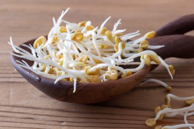 Bir kaşığa çimen tohumu serpiştirilmiş.