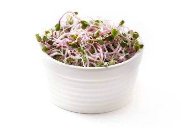 Beyaz arka planda bir kasede taze pembe turp filizleri.