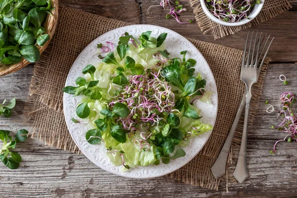 Salada Com Alface Cordeiro Brotos Rabanete Fresco Vista Superior — Fotografia de Stock