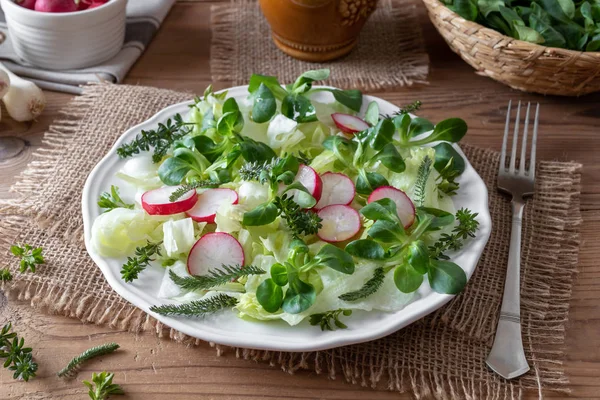 Tavaszi saláta vad bedstraw, tyúkhúr, fiatal cickafark — Stock Fotó
