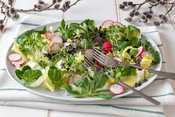 Tavaszi saláta, retek és a brokkoli és a kelkáposzta microgreens — Stock Fotó