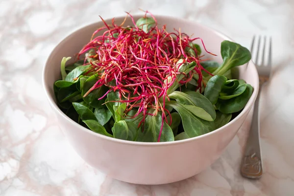 Salat med vårsalat og friske roespirer - Stock-foto
