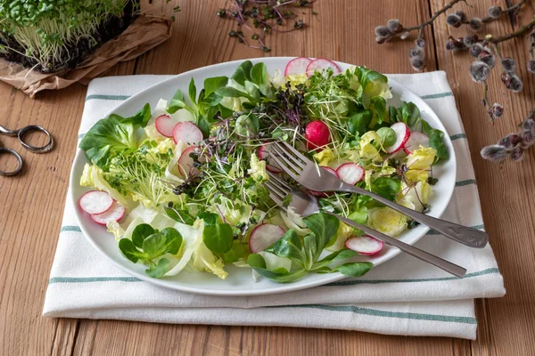 Sałatka z świeże brokuły i kapusta microgreens — Zdjęcie stockowe