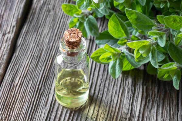 A bottle of oregano essential oil with fresh oregano twigs — Stock Photo, Image