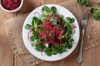 Kuzu 's marul ve kırmızı pancar lahanası salatası
